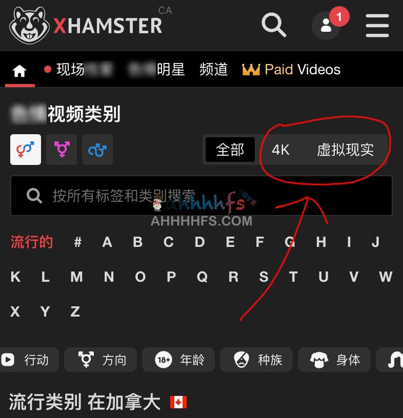 支持中文的4K视频学习网站-XHam